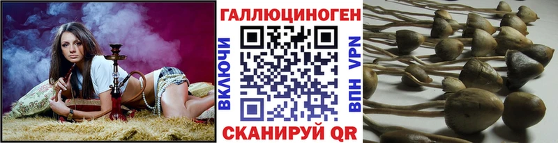 Галлюциногенные грибы Cubensis  Ишим 